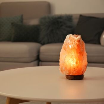 Lampe en Cristal de Sel d'Himalaya - de 2 à 3 kg - Matière Naturelle - Idée Cadeau et Décoration 6