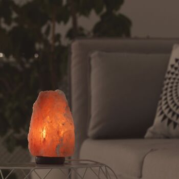 Lampe en Cristal de Sel d'Himalaya - de 2 à 3 kg - Matière Naturelle - Idée Cadeau et Décoration 7