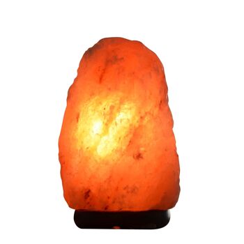 Lampe en Cristal de Sel d'Himalaya - de 2 à 3 kg - Matière Naturelle - Idée Cadeau et Décoration 8