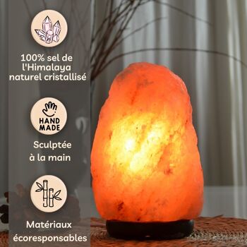 Lampe en Cristal de Sel d'Himalaya - de 4 à 6 kg – Sculptée à la Main - Idée Cadeau – Objet de Décoration 1