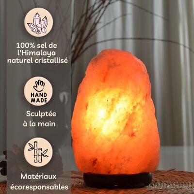 Lampe en Cristal de Sel d'Himalaya - de 4 à 6 kg – Sculptée à la Main - Idée Cadeau – Objet de Décoration