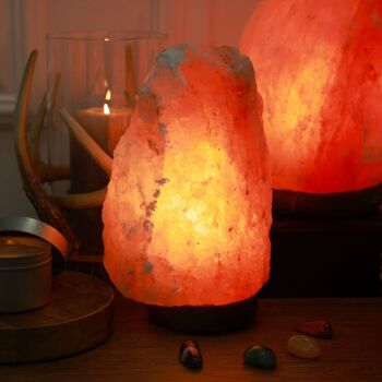 Lampe en Cristal de Sel d'Himalaya - de 4 à 6 kg – Sculptée à la Main - Idée Cadeau – Objet de Décoration 4