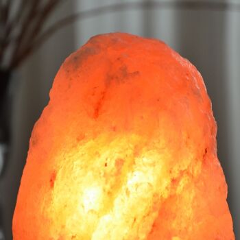 Lampe en Cristal de Sel d'Himalaya - de 4 à 6 kg – Sculptée à la Main - Idée Cadeau – Objet de Décoration 3