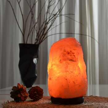 Lampe en Cristal de Sel d'Himalaya - de 4 à 6 kg – Sculptée à la Main - Idée Cadeau – Objet de Décoration 7