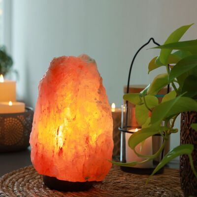 Lampada in cristallo di sale himalayano - da 4 a 6 kg - intagliata a mano - idea regalo - oggetto decorativo