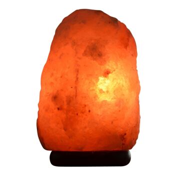 Lampe en Cristal de Sel d'Himalaya - de 4 à 6 kg – Sculptée à la Main - Idée Cadeau – Objet de Décoration 8
