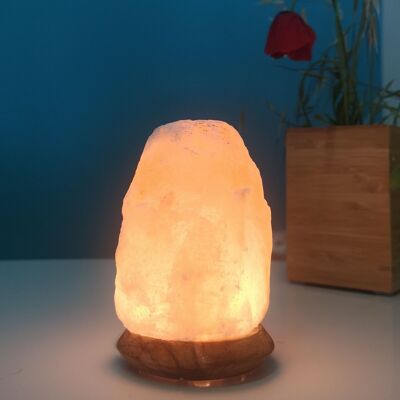 Himalaya-Salzkristall-USB-Lampe – Rock 600 g – Holzsockel – Dekorationsobjekt