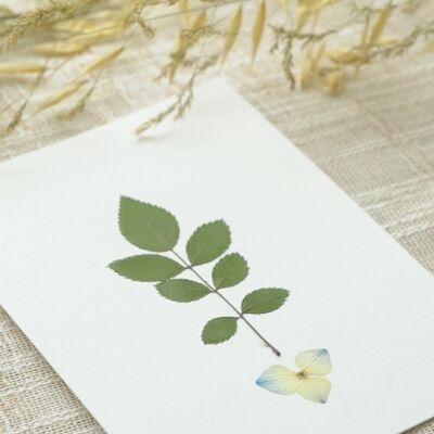 Flower herbarium "Japonica bouquet" • A6 format • to frame