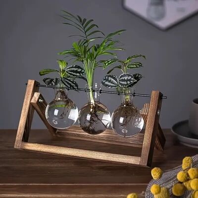 1 vase en verre hydroponique élégant avec cadre en bois - 13.46 cm