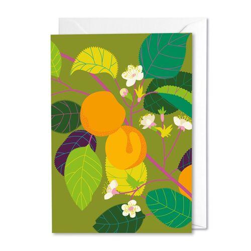 Apricot greetings card with Jam Recipe on reverse