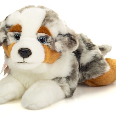 Australian Shepherd lying down 40 cm - Plush toy - Stuffed toy