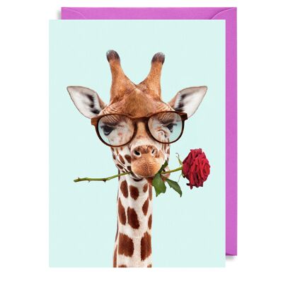 Giraffe Rose