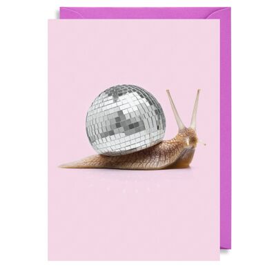 Disco Snail