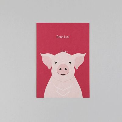Cartolina in cartone di polpa di legno Rosi Pig