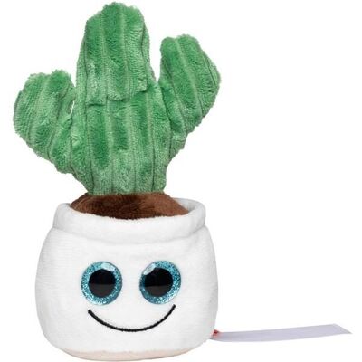 Peluche Cactus Schmoozies Evergreenies - Detergente per display