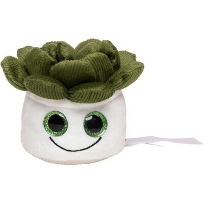 Schmoozies Evergreenies Succulente - Peluche - Detergente per espositori