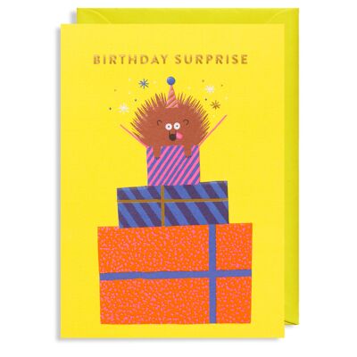 A Silly Surprise: Birthday Card