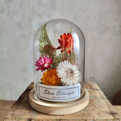 Dôme botanique "Immortelles" - Cloche de fleurs séchées - Petit