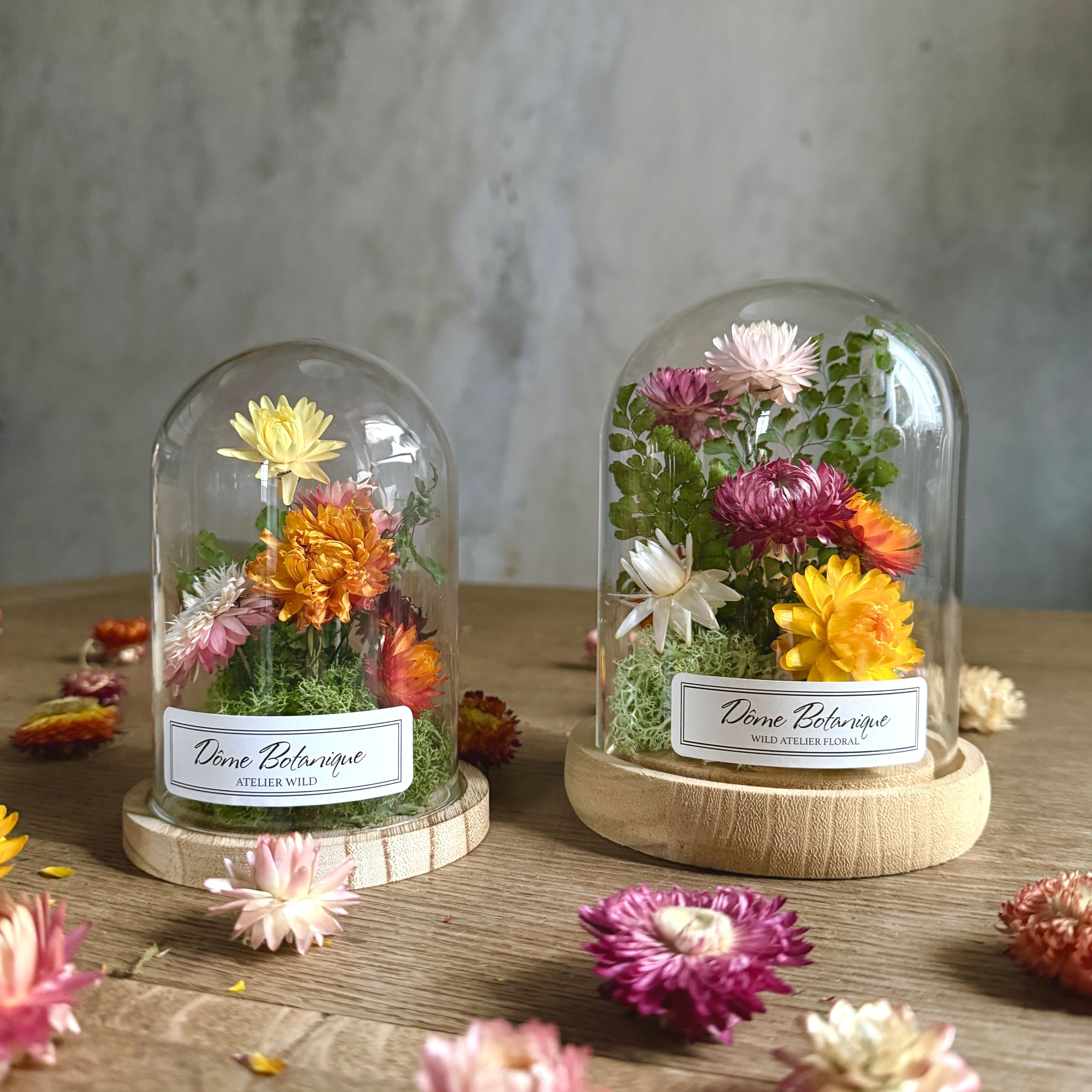 Cúpula botánica "Siemprevivas" - Campanilla de flores secas - Pequeña