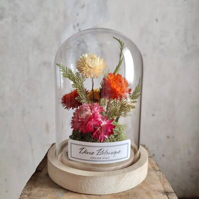 Dôme botanique "Immortelles" -Cloche de fleurs séchées - Moyen