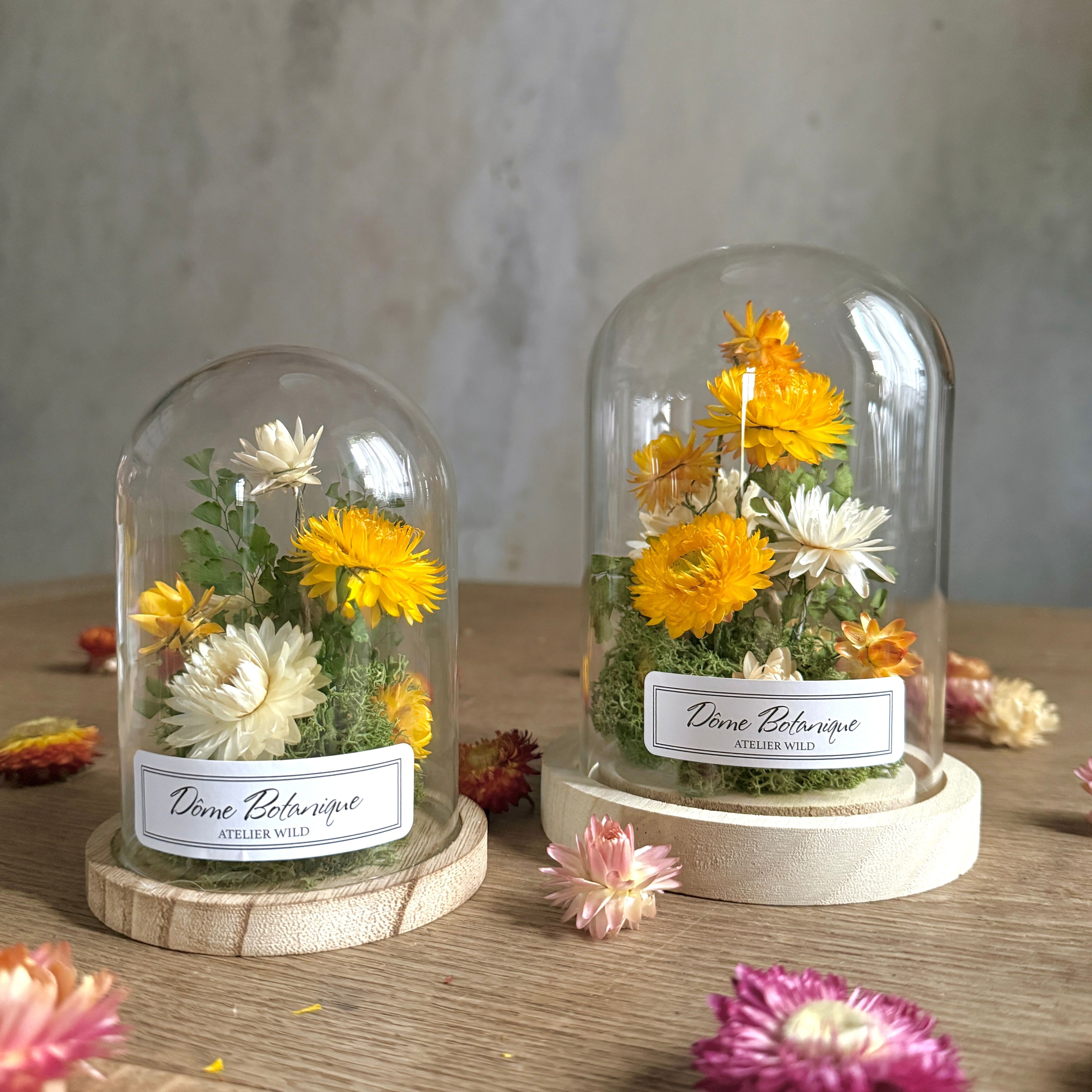 Cúpula botánica "Siemprevivas" - Campanilla de flores secas - Grande