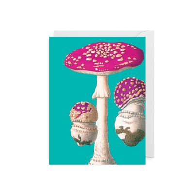 Fly Agaric