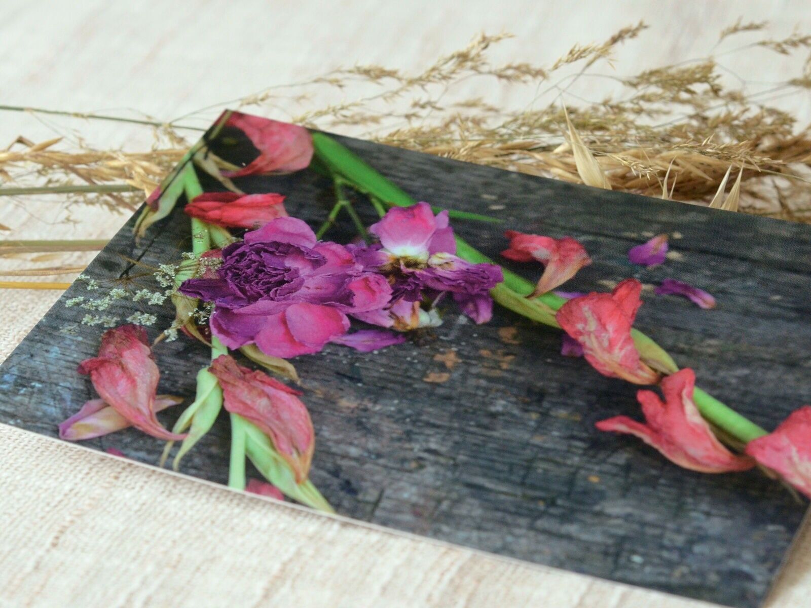 Photo postcard: Dried flowers (envelope included)