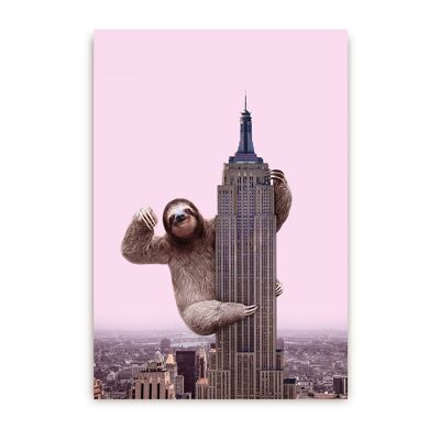 King Sloth Postcard