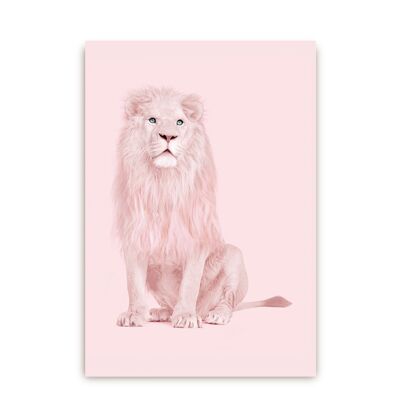Albino Lion Postcard