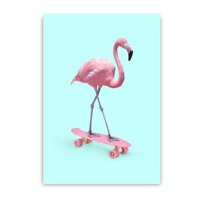 Skate Flamingo Postcard