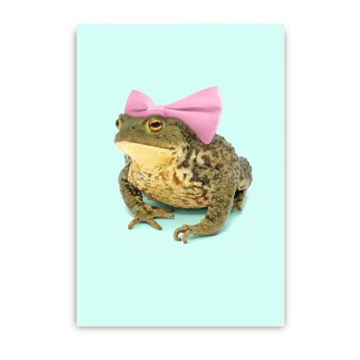 Bow Toad Postcard