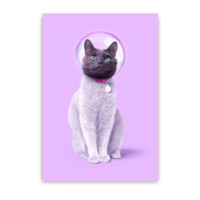 Space Cat Postcard