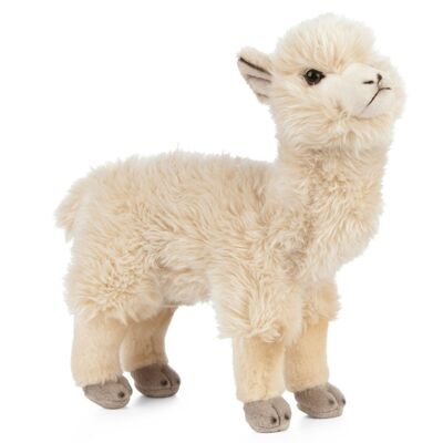 Alpaca Plush
