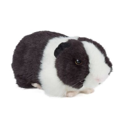 Peluche porcellino d'India nero con suono