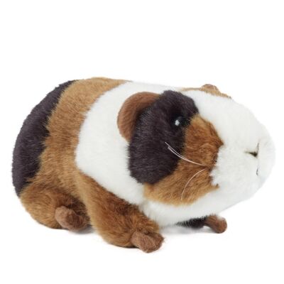 Peluche porcellino d'India