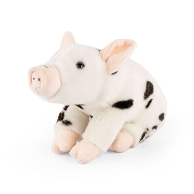 Peluche di maiale