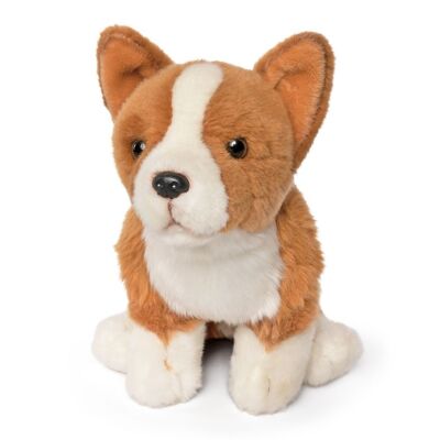 Peluche Corgi