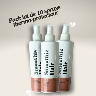 “SalonProtect – Thermo-Protective Sprays” Resale Pack