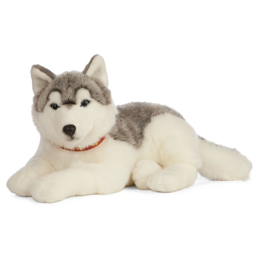 Peluche Husky 60 cm | Living Nature