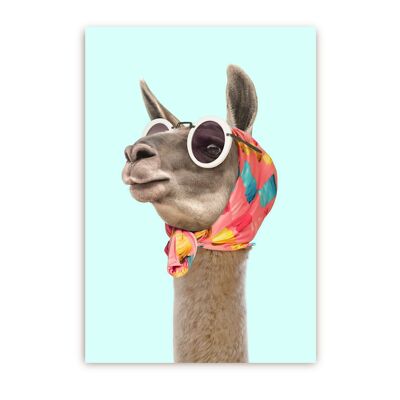 Fashion Llama