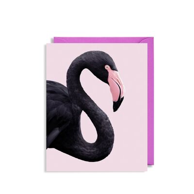 Black Flamingo