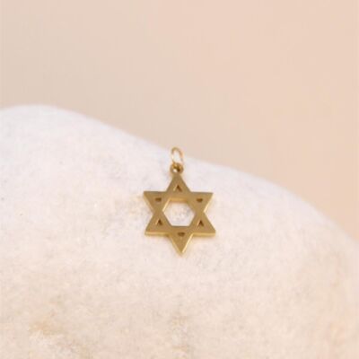 Stainless Steel Star Pendant - Style and Resilience