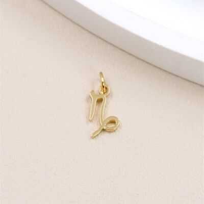 Capricorn astrological sign pearl pendant in stainless steel