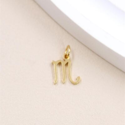 Scorpio astrological sign pendant in stainless steel