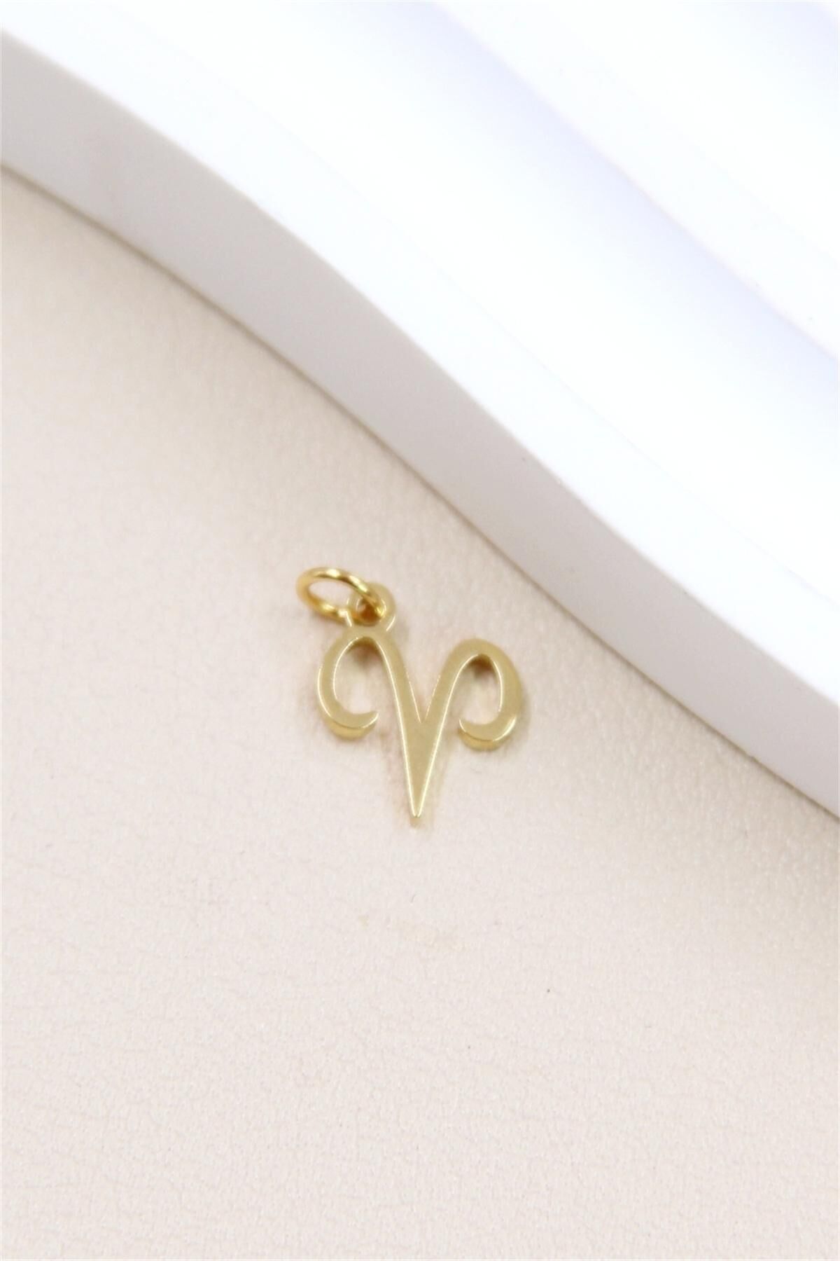 Colgante de acero inoxidable con el signo astrológico Aries