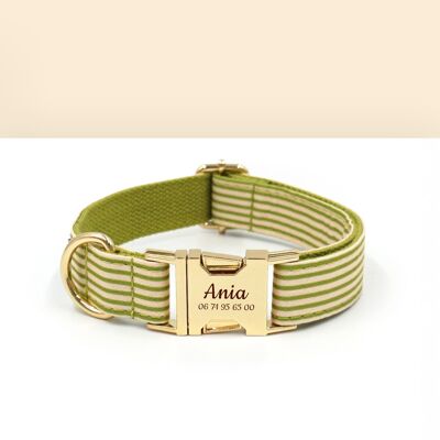 Personalized Dog Collar Green Striped Cotton