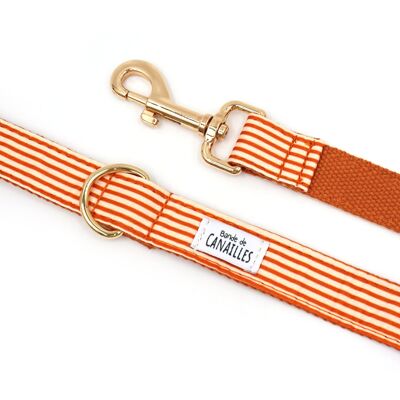 Orange Striped Cotton Dog Leash