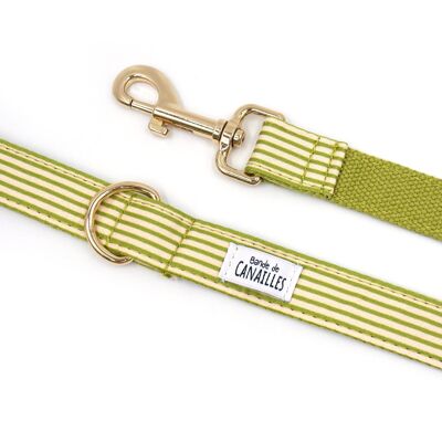 Guinzaglio per cani in cotone a righe verdi