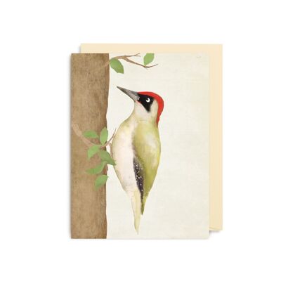 Woodpecker