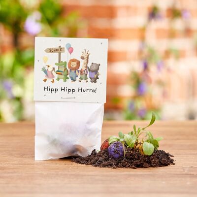 5 biglie a forma di fiore in un sacchetto di cellophane - "Hip Hip Hooray" - Primo giorno di scuola
